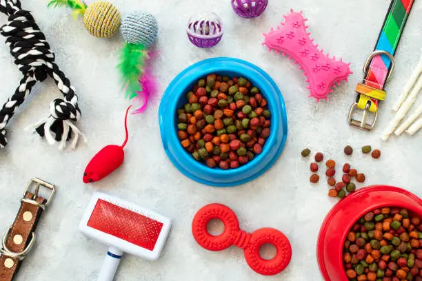 Pet accessories
