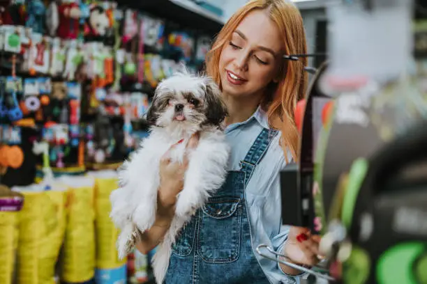 Pet accessories