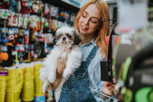 Pet accessories